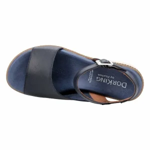 Dorking D8771 ESPE MARINO BLEU 15