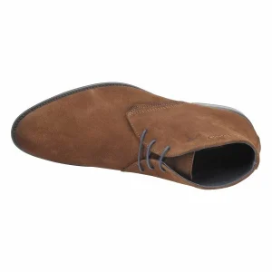 Fluchos 8415 HERACLES ANTILOPE MARRON 15