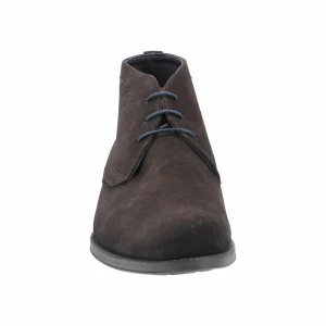 Fluchos 8415 HERACLES CAFE MARRON 21